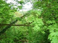 Stadtgrenze Berlin, nahe Wald und Wasser - Kapitalanlage - Schöneiche (Berlin)