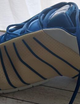 Basketball Schuhe - Bad Freienwalde (Oder)