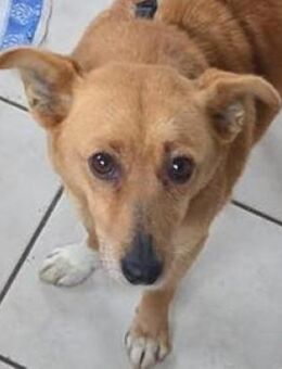 RHIANNA ist zauberhaft - Hof