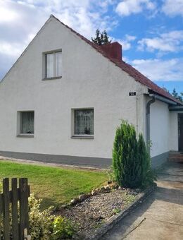 Charmantes EFH auf 2900 m², wird altersbedingt unter Marktpreis abgegeben. Für Schnellentschlossene! - Prenzlau