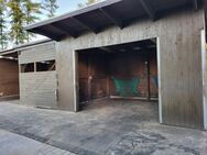 Offenstallplatz f Islandwallach Vollpension - Verl