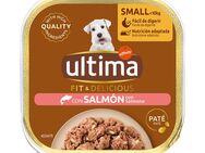 Ultima Fit & Delicious Paté Mini Hund 22 x 150 g - Lachs