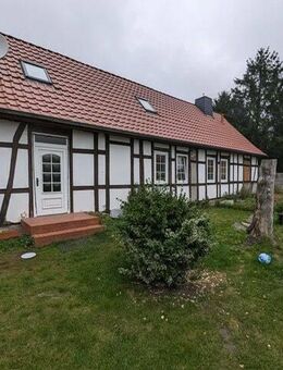 ehemaliger 4-Seitenhof mit 15.000 qm Wiese -ideal für Haustierhaltung- in Klein Schwechten - Rochau