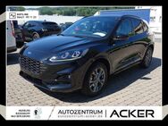 Ford Kuga, 2.5 ST-Line X, Jahr 2022 - Bad Berleburg