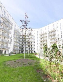 Modernes Microapartment mit Stil - lichtdurchfluteter Wohnkomfort und voll ausgestatteter Küche - Frankfurt (Main)