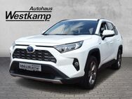 Toyota RAV 4, 2.5 VVT-i Hybrid Club, Jahr 2019 - Frechen