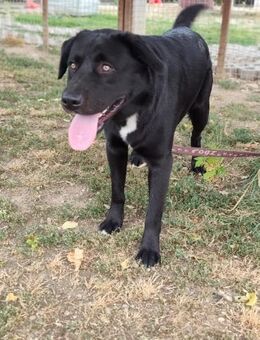 HARIBO - mittendrin freundlich verspielt - Overath