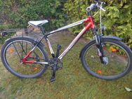 26 Zoll Treckingfahrrad - Müden (Aller)