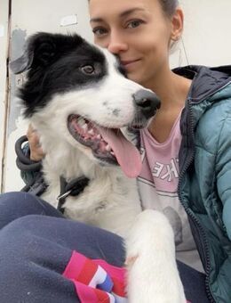 Sehr DRINGEND‼️JACKSON sucht ‼️🆘 - München