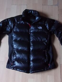 The north face pertex quantum Damen Jacke Gr L - Dortmund