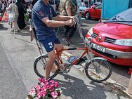 Bonanza Fahrrad. Wie neu. - Nürnberg