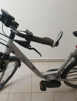 E Bike Diamant Beryll Super DeLuxe+ - Duisburg