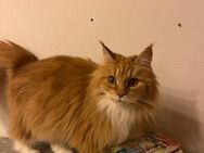 Bella + Ronja - Wiesbaden