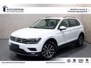 VW Tiguan DSG CL STHZG HEADUP PANO 360CAM ACC NAVI - Wardenburg