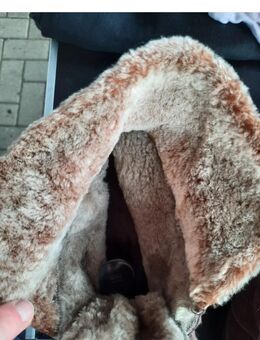 Stiefelette Kennel Schmenger - Münster Zentrum
