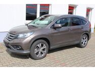 Honda CR-V Lifestyle 2WD*Xenon*Cam*Teilleder*AHK - Brandenburg (Havel)