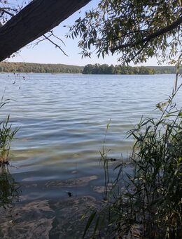 Auf der Suche nach uns - Potsdam