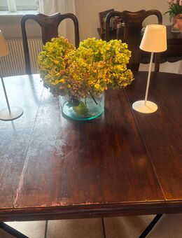 Esstisch mit 6 Stühlen und 2 Armlehner - Remscheid