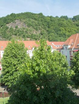 Energieeffiziente DG-Wohnung im äußeren Triebischtal - Meißen