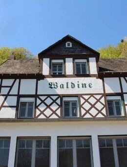 Großes Landhaus mit tollem Moselblick!! - Traben-Trarbach