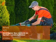 Vorarbeiter Bau (m/w/d) im Garten-, Landschaftsbau - Cottbus