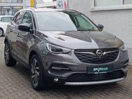 Opel Grandland X, Ultimate, Jahr 2019 - Hachenburg