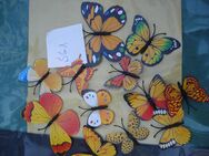 12 Schmetterlinge bunt - Friedrichsdorf