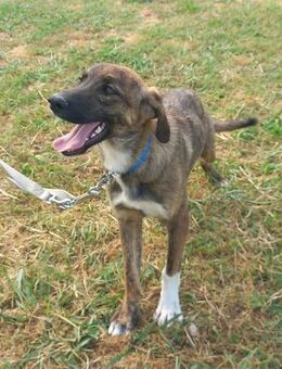 Madonna - unbeschwert und liebevoll - Mettmann