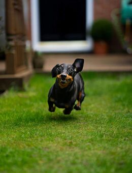 Ohne Eigenkapital möglich. Mietkaufimmobilie abzugeben. - Solingen (Klingenstadt)