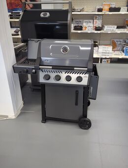Napoleon Freestyle 425 DSIB Gasgrill, Sizzle Zone, Aussteller - Germering