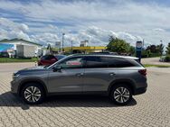 Skoda Kodiaq, 2.0 TDI Selection, Jahr 2024 - Achern