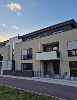 Neubau Wohnungen kfw-40plus in Lockweiler, 3zkb Erstbezug 106/71m² - Wadern