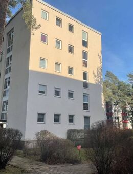 Neu Renovierte 2 Zimmer Wohnung in Röthenbach - Röthenbach (Pegnitz)