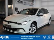 VW Golf, 2.0 TDI 8 Life, Jahr 2020 - Blomberg (Nordrhein-Westfalen)