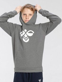 hummel Kapuzensweatshirt HMLCUATRO HOODIE - für Kinder (1-tlg) für Kinder