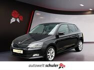 Skoda Fabia, 1.0 MPI Joy, Jahr 2016 - Donaueschingen