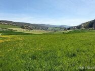 Leben wie im Urlaub! Freistehendes 3 Familienhaus auf einem traumhaften Grundstück mit TOP Aussicht! - Waldems