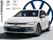 VW Golf, 2.0 l TDI VIII Life, Jahr 2022 - Ganderkesee