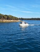 Ehrenamtliche Reisebegleiter"In für Reise 14.05.-23.05.2026 nach Istrien Kroatien gesucht in 81549