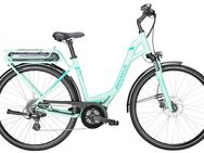 E Bike Pegasus Solero - March