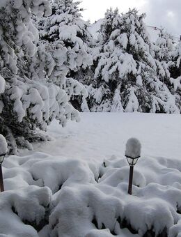 Schöne 1-Zimmer-Eigentumswohnung im Erdgeschoss in Hahnenklee - Goslar