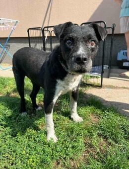 Thea wünscht sich Geborgenheit - Nordwalde