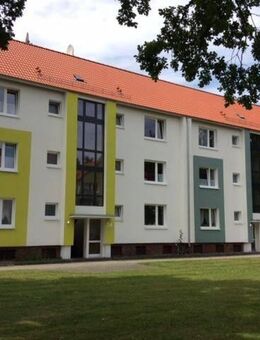 Helle 2-Zimmer-Wohnung mit Balkon - Delmenhorst