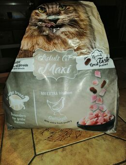 Verschenke hier ein ein bisschen Katzenfutter - Dortmund Nordstadt