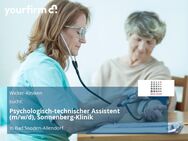 Psychologisch-technischer Assistent (m/w/d), Sonnenberg-Klinik - Bad Sooden-Allendorf