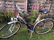 Damenfahrrad 21 Gänge, Federung, sehr guter Zustand - Egenhofen