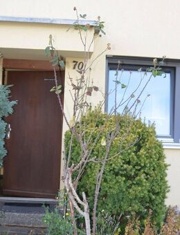 Charmantes Reihenmittelhaus in ruhiger Lage - Schwabach