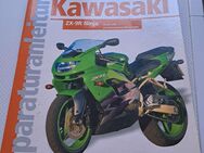 Kawasaki ZX 900(2000 er) in Teilen - Buchen (Odenwald)