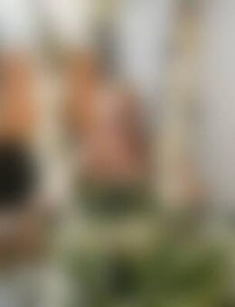 Car*** - Mülheim (Ruhr)