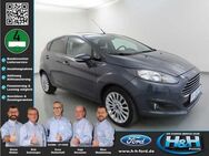 Ford Fiesta 1.0 EcoB Trend (Klima+PPS+Nebel+Funk) - Premnitz